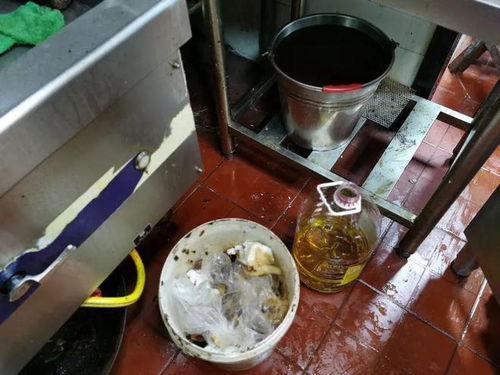 餐飲復工調查 積壓庫存引擔憂，服務安全需關注